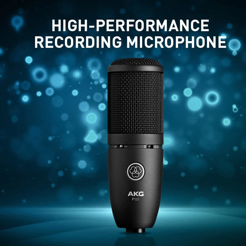 AKG P120 Condenser Microphone - Image 3