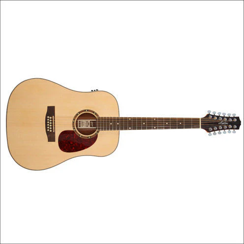 Ashton D25/12EQNTM Electro-Acoustic Guitar - 12 String