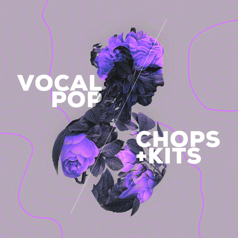 Audiomodern Vocal Pop Loopmix Expansion – Professional Audio Software & Plugin
