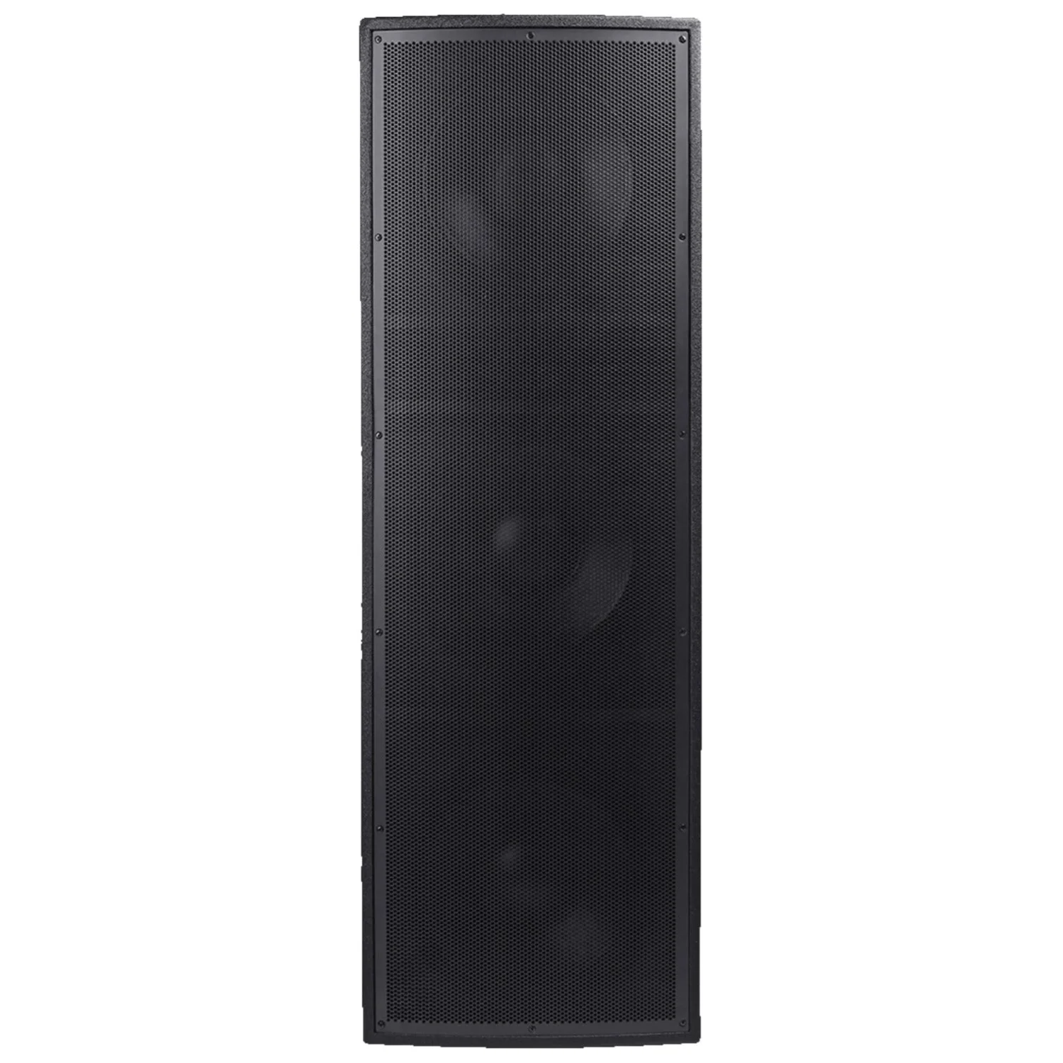Bassboss DV12-MK3 Single 12" Loudspeaker - Image 2