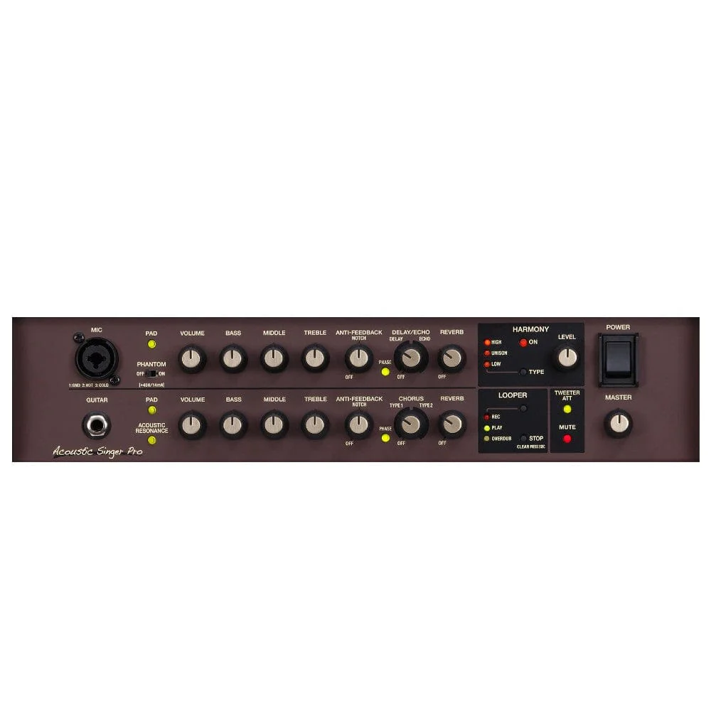 Boss ACS-PRO Acoustic Singer Pro Guitar Amplifier - Image 3