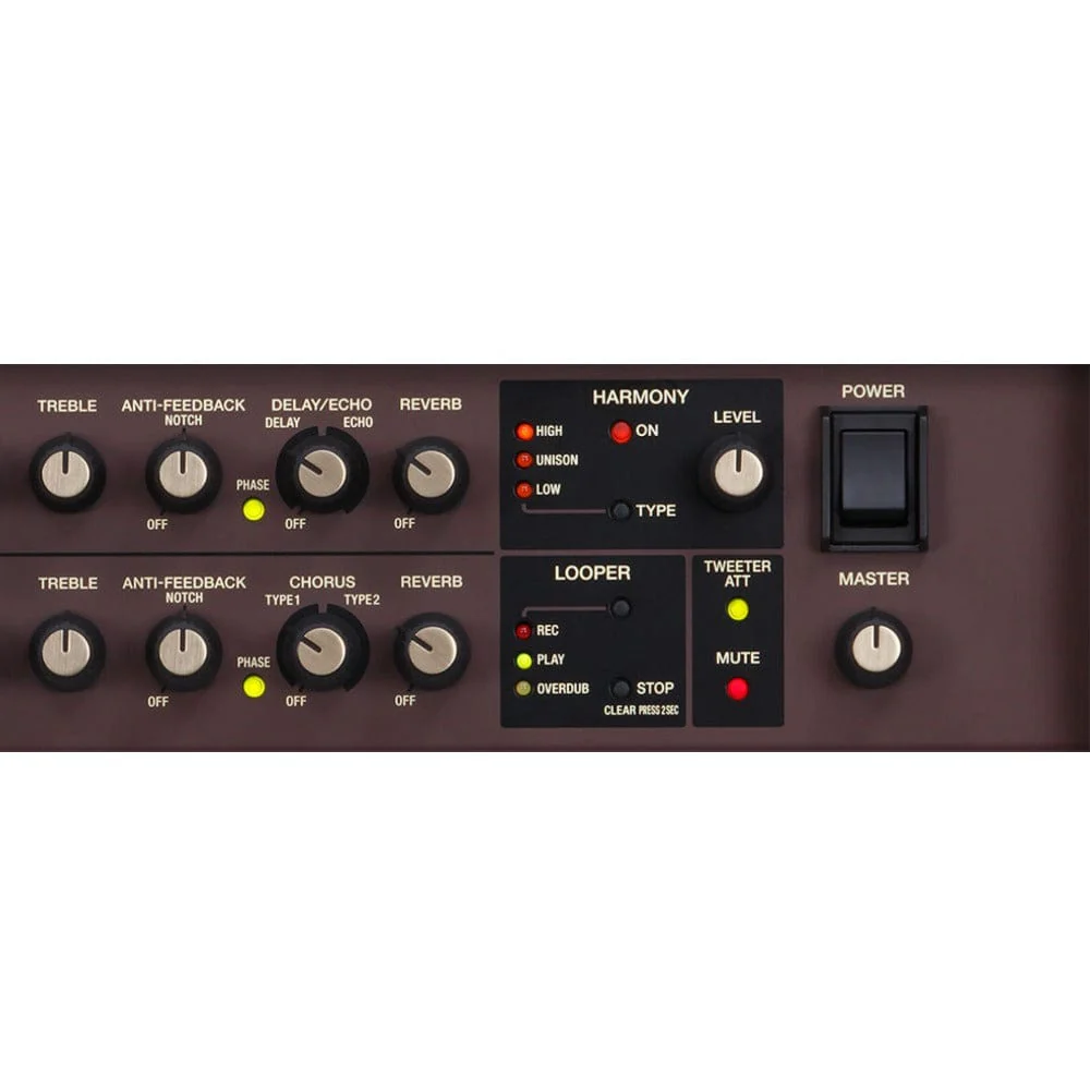 Boss ACS-PRO Acoustic Singer Pro Guitar Amplifier - Image 6