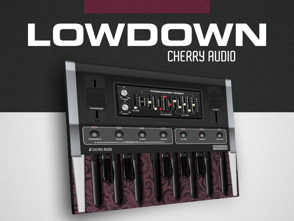 Cherry Audio Lowdown Bass Synthesizer – Professional Audio Software & Plugin - Image 2