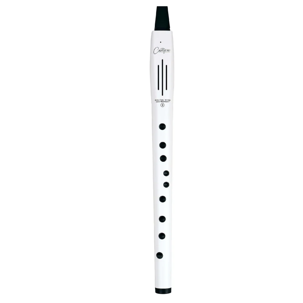 Carry-on DWI2 Digital Wind Instrument - Image 9