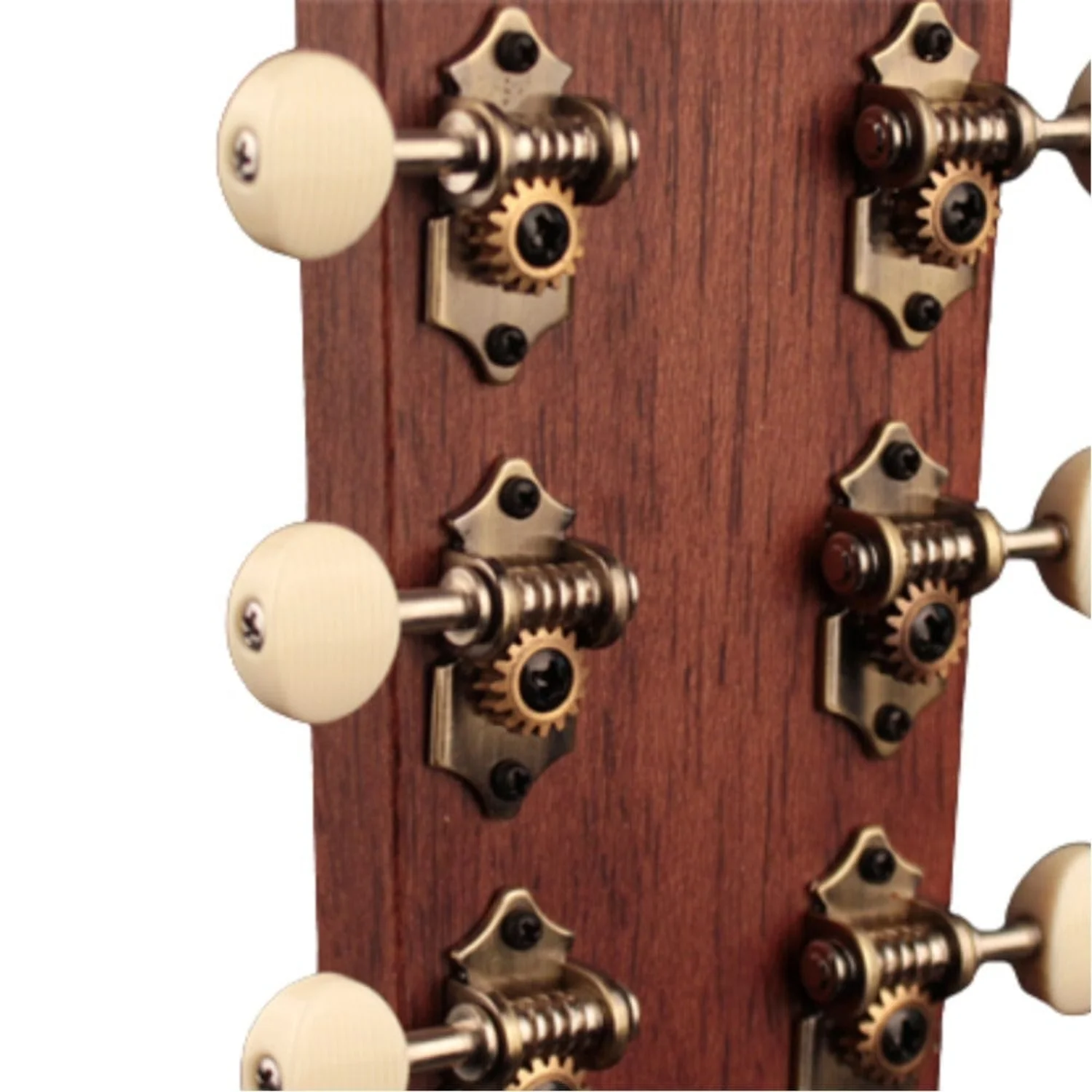 Cort Earth 100SSF Electro Acoustic Guitar - Image 6