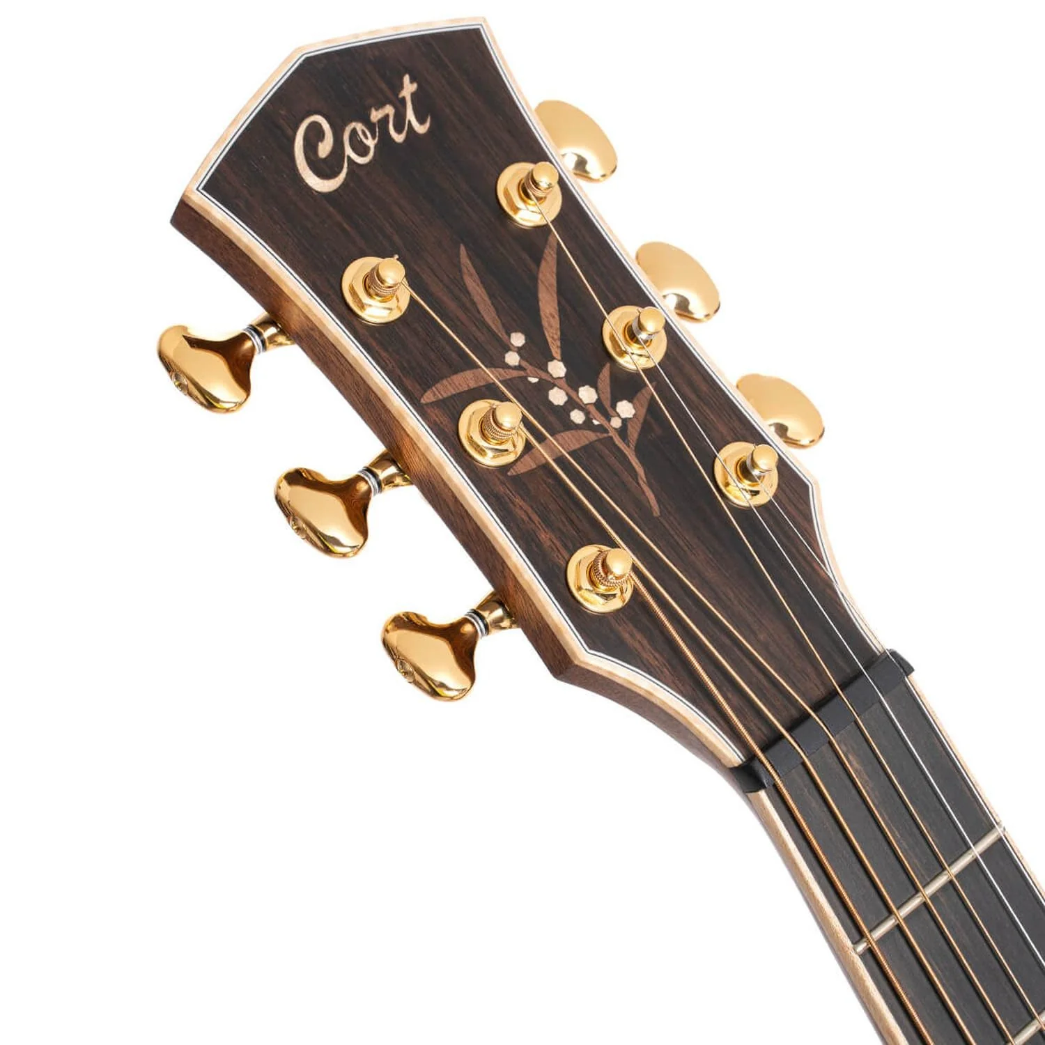 Cort The Black Tree Limited Edition Electro Acoustic Guitar - Image 4