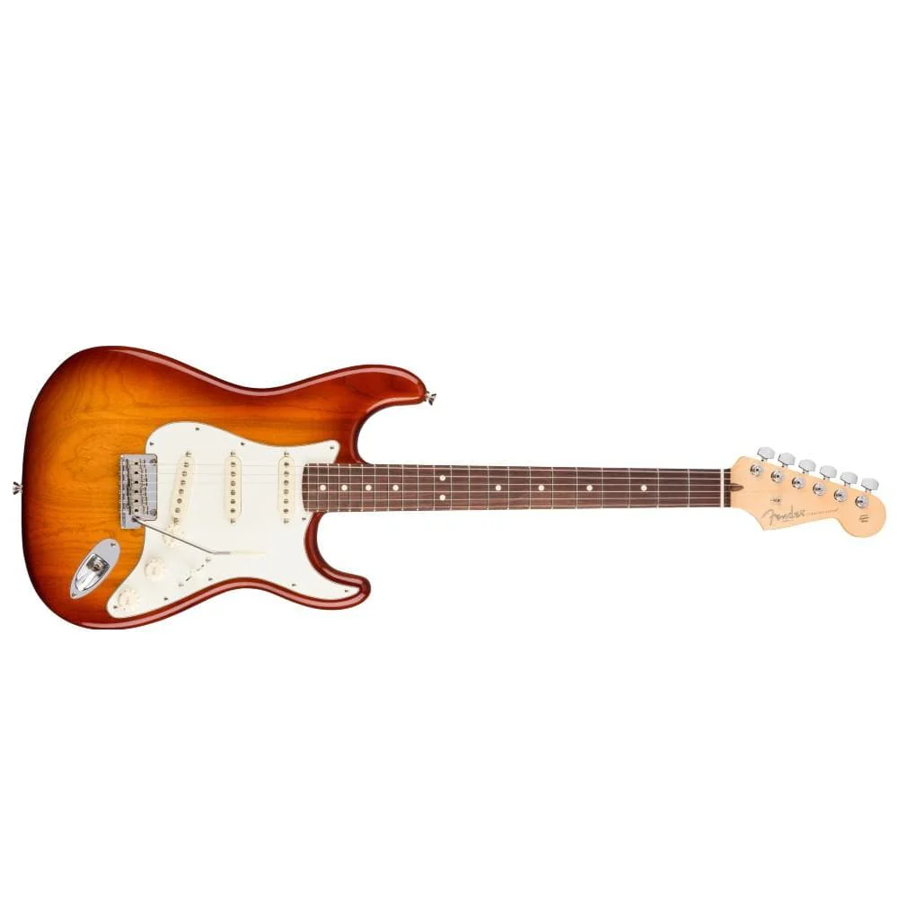 Fender American Professional Stratocaster Electric Guitar - Rosewood