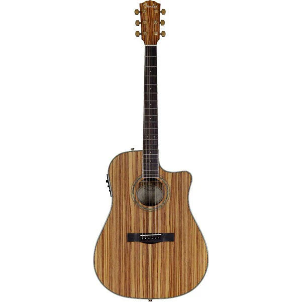 Fender CD-220CE All Zebrano Dreadnought Acoustic-Electric Guitar