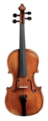 Gewa Germania 11 Paris Ant. Violin - Image 3