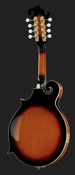 Harley Benton HBMA-100 VS - Image 3