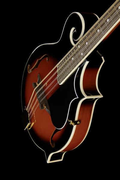 Harley Benton HBMA-100 VS - Image 8