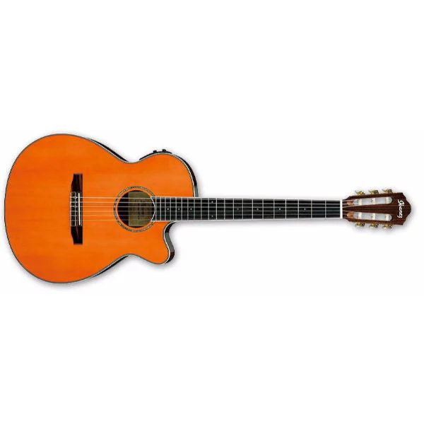 Ibanez AEG10NII Nylon String Acoustic-Electric Guitar