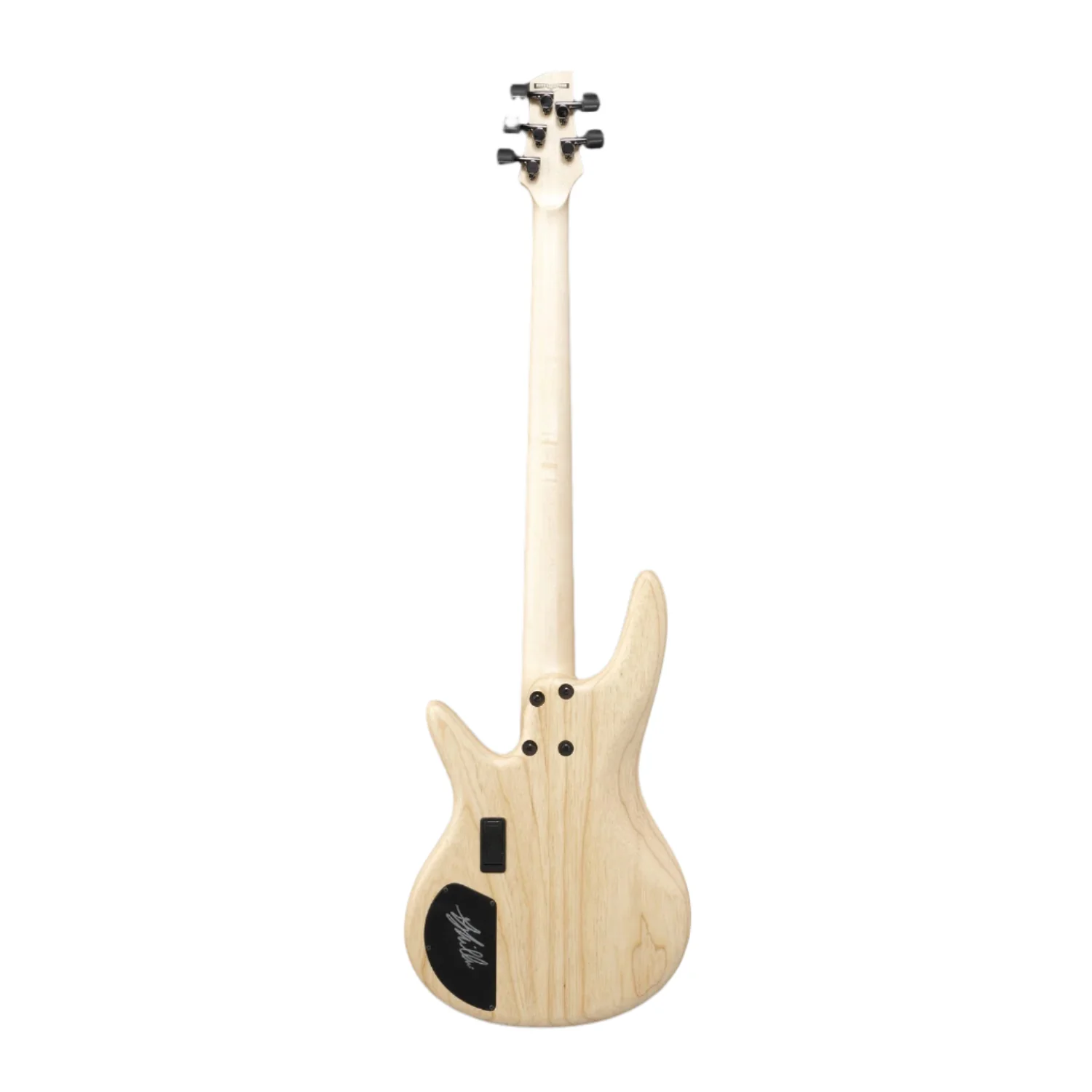 Ibanez GWB1005 Gary Willis Signature 5 String Fretless Bass Guitar - Image 4