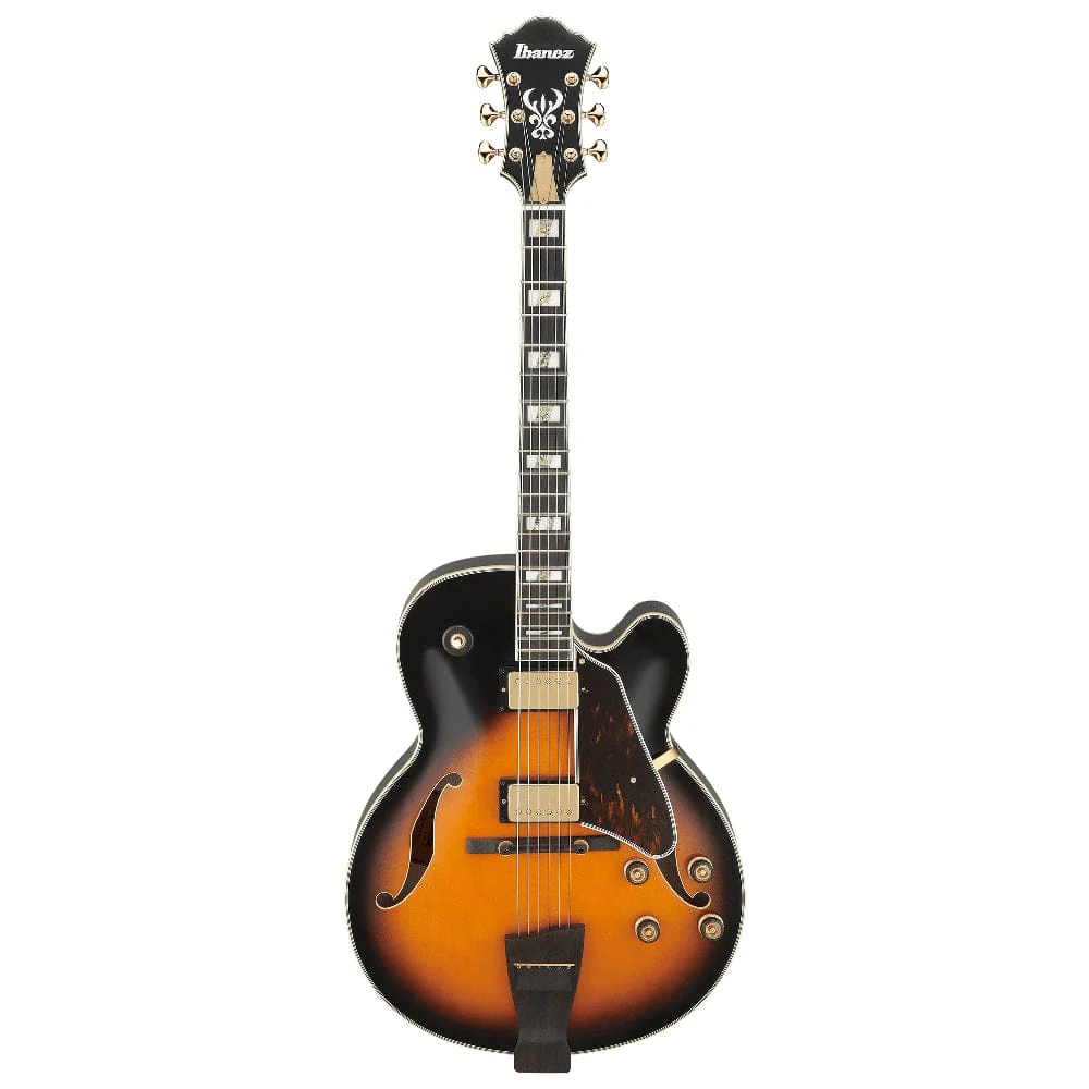 Ibanez JSM100 John Scofield Signature Hollow Body 6 String Electric Guitar - Image 2