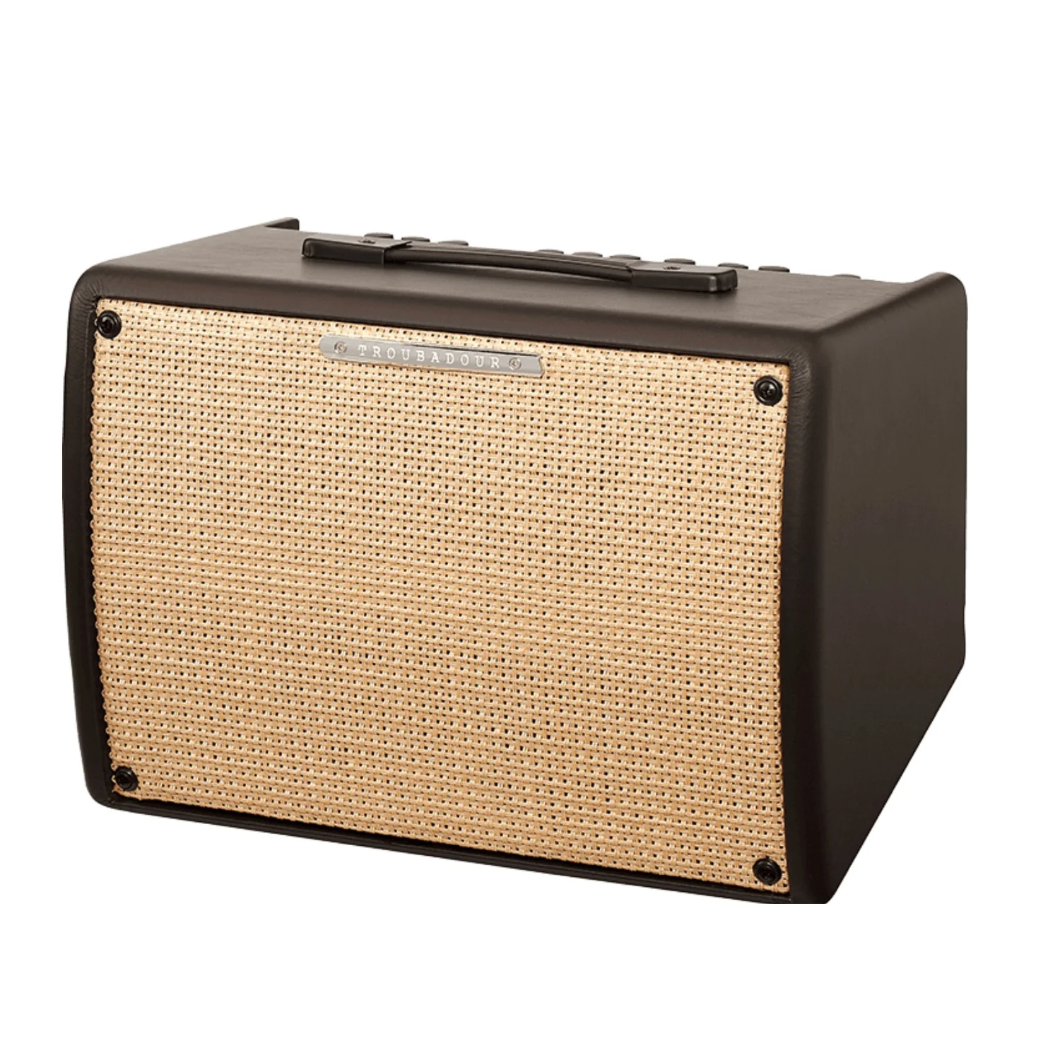Ibanez T30II 30 Watt Combo Acoustic Combo Guitar Amplifiers