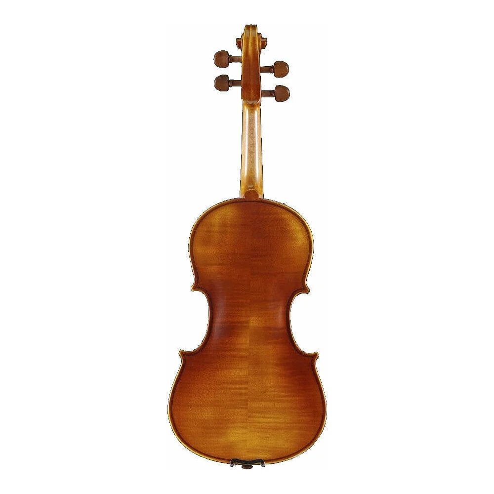 Pearl River PR V02 4/4 Outfit Violin - Image 2