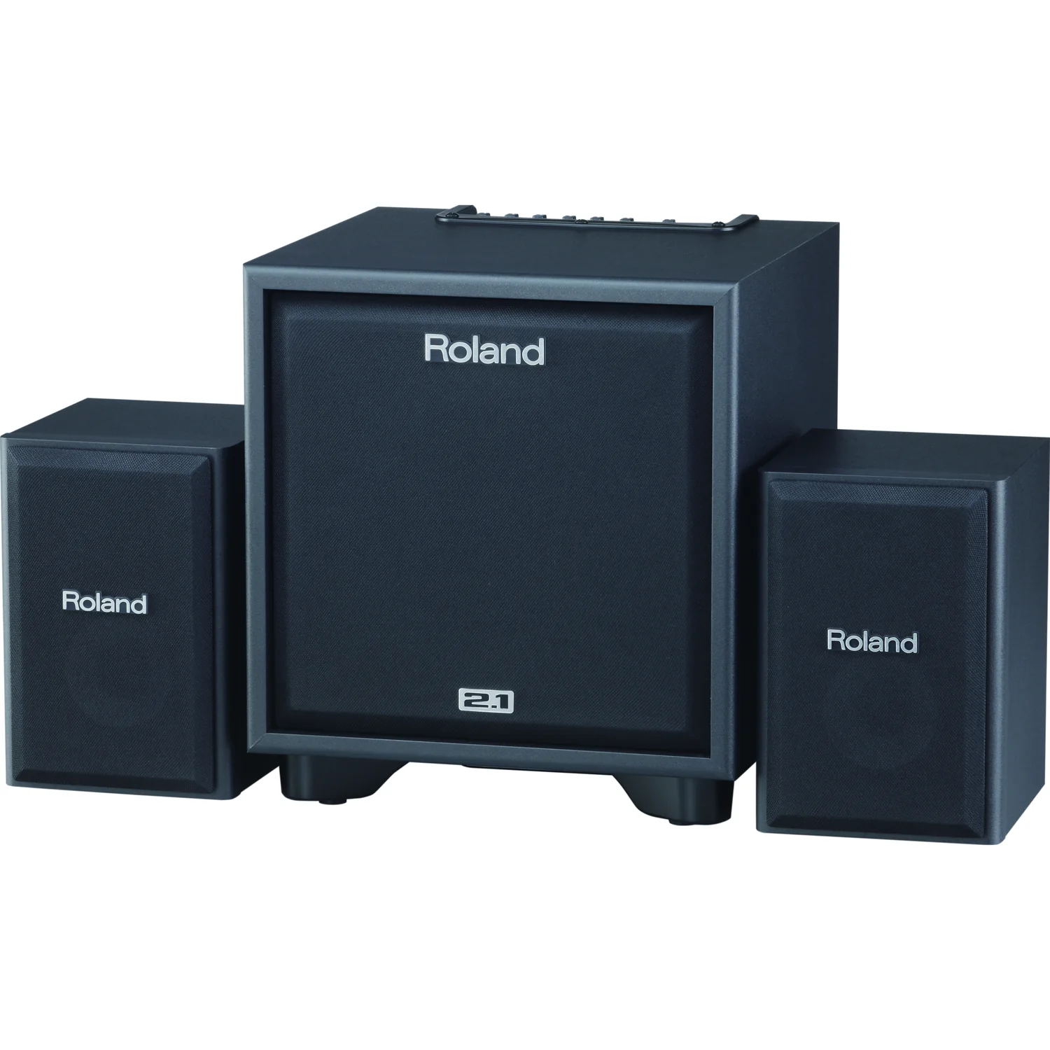 Roland CM-110 2.1 Monitor Speakers