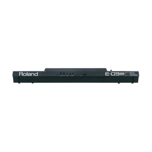 Roland E09IN Arranger Keyboard Indian Edition w/ Indian Sound Suite - Image 3