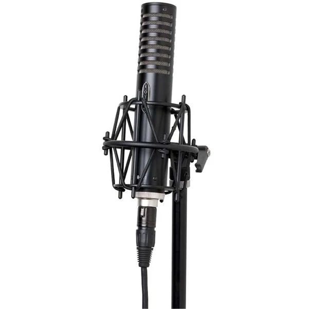 Royer Labs R101 Mono Ribbon Condenser Microphone - Image 2