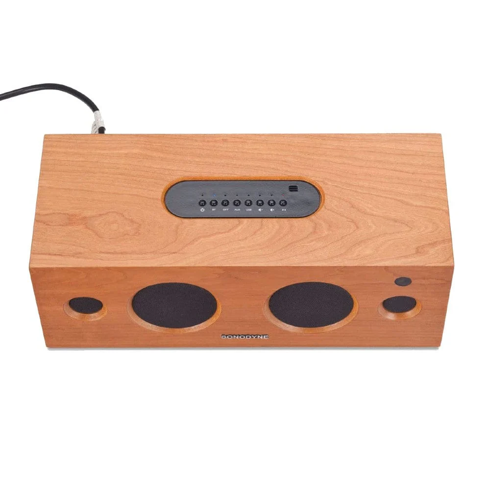 Sonodyne Alaap Wireless High Fidelity Music System - Image 3