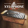 Soundiron Alto Xylophone - Image 2