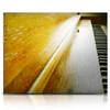 Soundiron Old Busted Granny Piano - Image 6