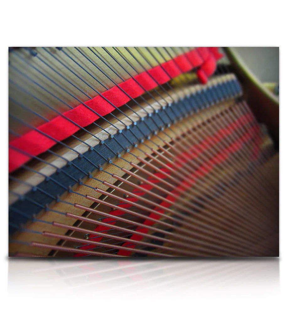 Soundiron Struck Grand Piano - Image 6
