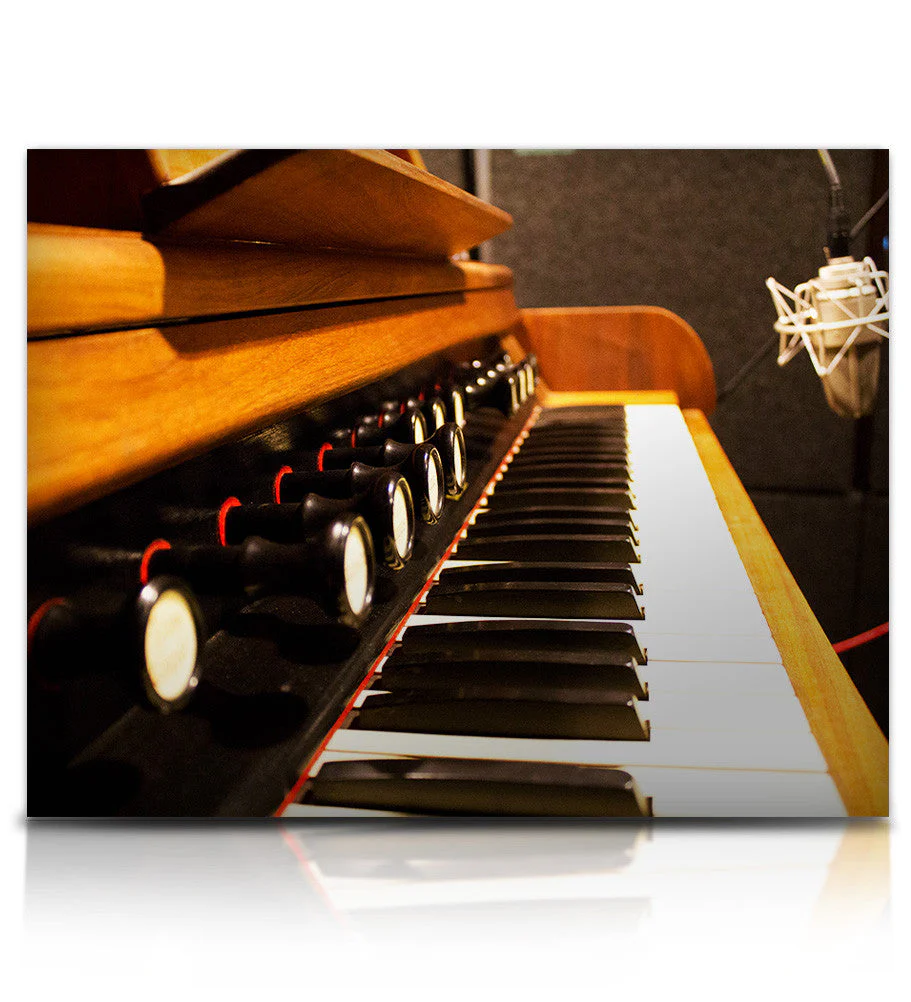 Soundiron Traveler Organ - Image 5