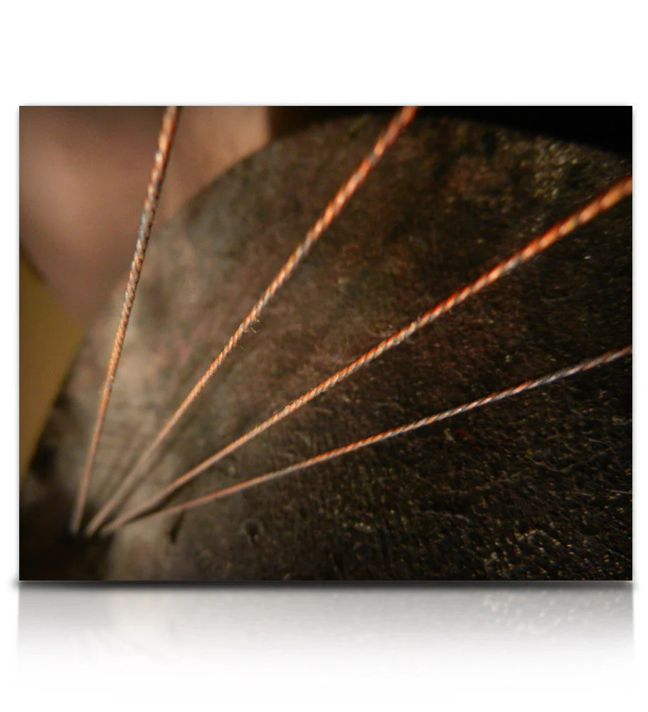 Soundiron Twine Bass - Image 5