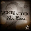 Soundiron Voice of Rapture: The Bass - Image 2