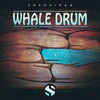 Soundiron Whale Drum - Image 2