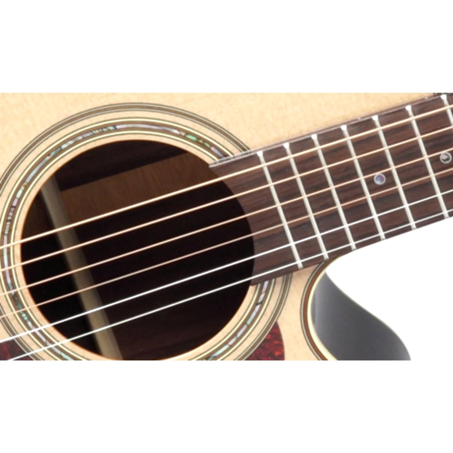 Takamine P5NC Cutaway Electro Acoustic Guitar - Natural High Gloss - Image 2