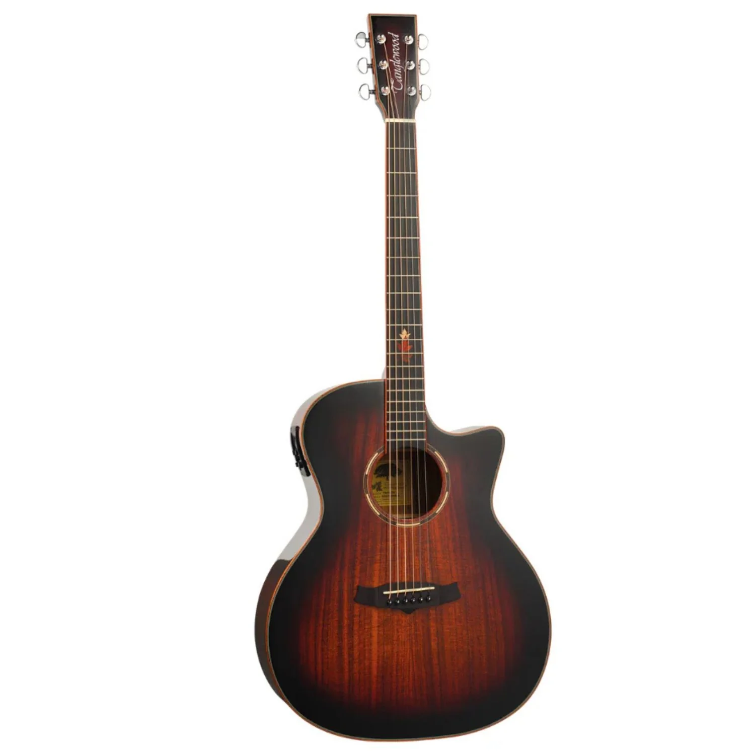 Tanglewood TWX6CEK Winterleaf Venetian Cutaway Electro Acoustic Guitar