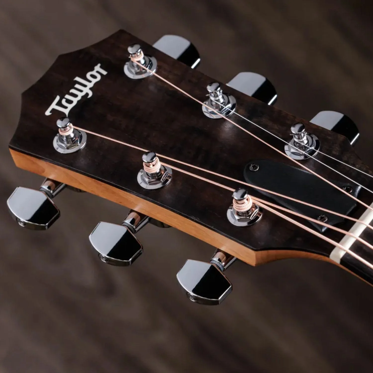 Taylor 117e Sapele 6 String Electro Acoustic Guitar - Image 7