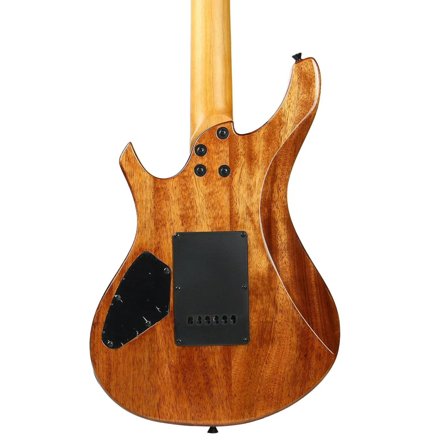 Vault Artisan RG Premium Electric Guitar with Dual Alnico V Humbuckers and Roasted Maple Neck - Image 66