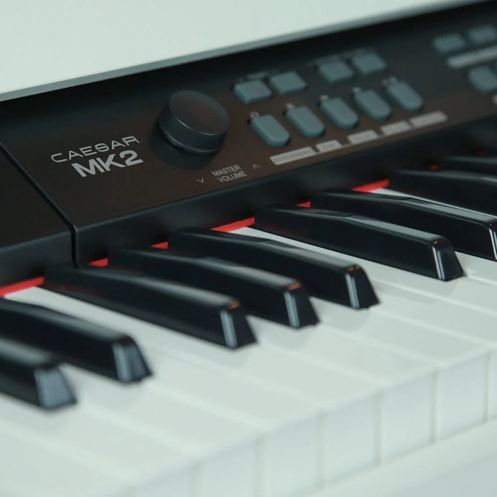 Vault Caesar MK2 88 Key Digital Piano - Open Box - Image 4