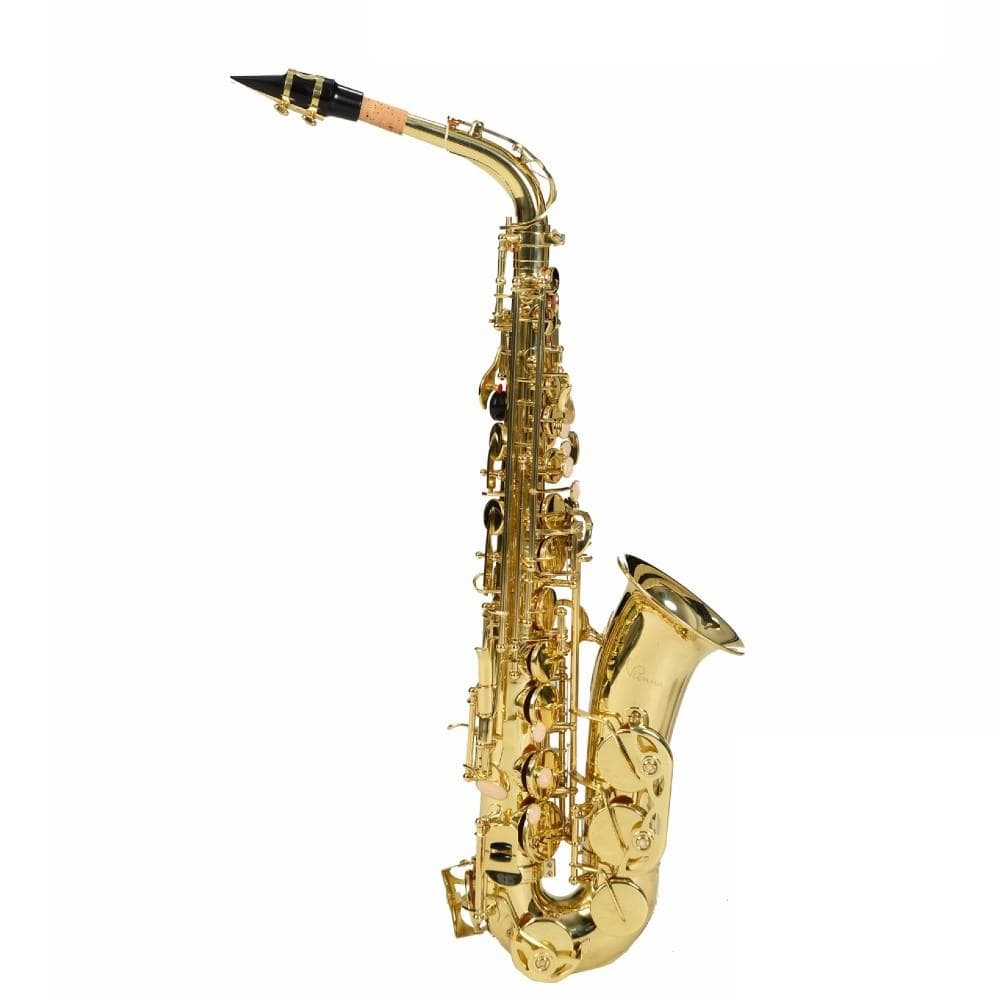 Vienna YWAS01 Alto Saxophone- Gold Lacquer - Image 2
