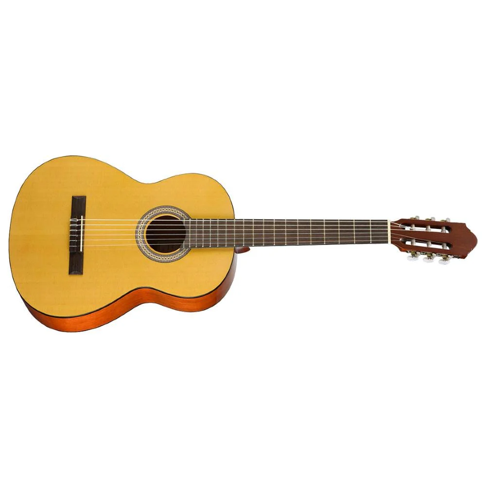 Walden N350 Standard 300 Series Classical Guitar With Gigbag